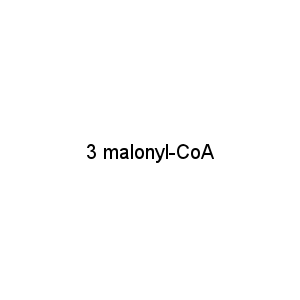 3 malonyl-CoA